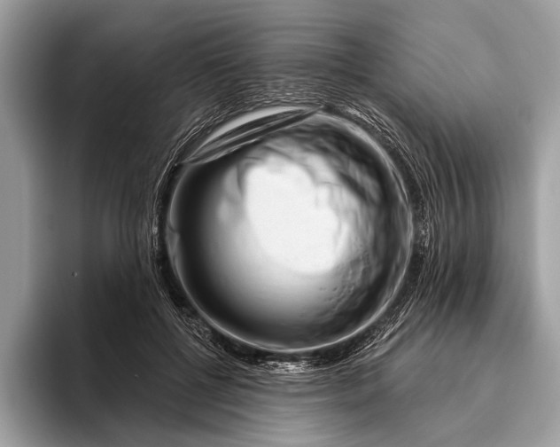 X0000095920552200801251032