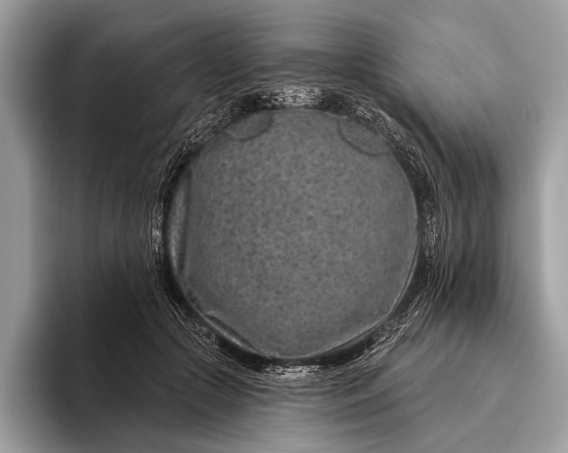 X0000095920553200801251032