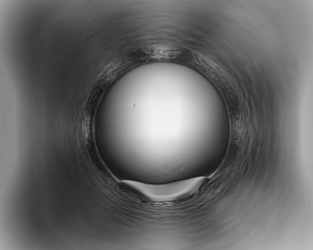 X0000095920554200801251032