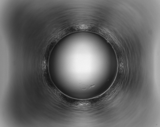 X0000095920555200801251032