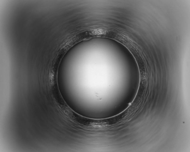 X0000095920556200801251032