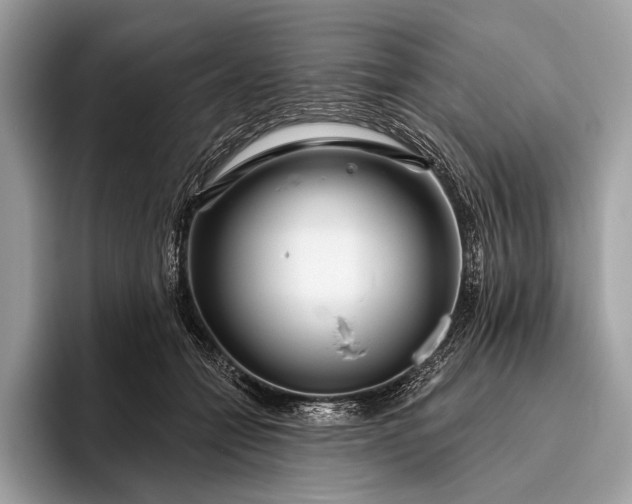 X0000095920558200801251032