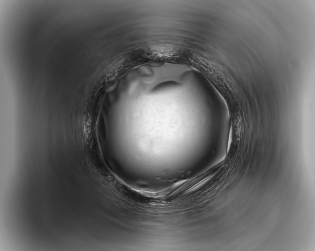 X0000095920559200801251032