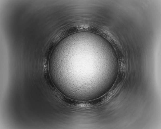 X0000095920561200801251032