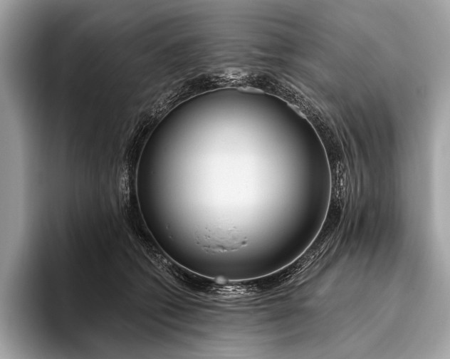 X0000095920562200801251032