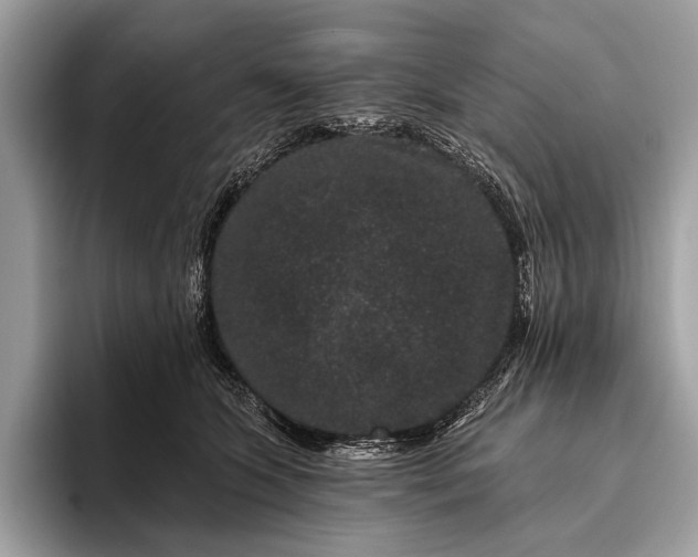 X0000095920563200801251032