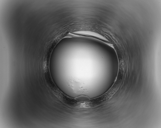 X0000095920564200801251032