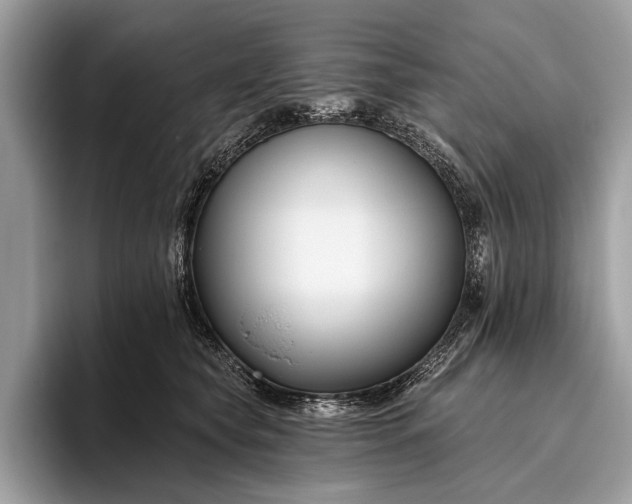 X0000095920565200801251032