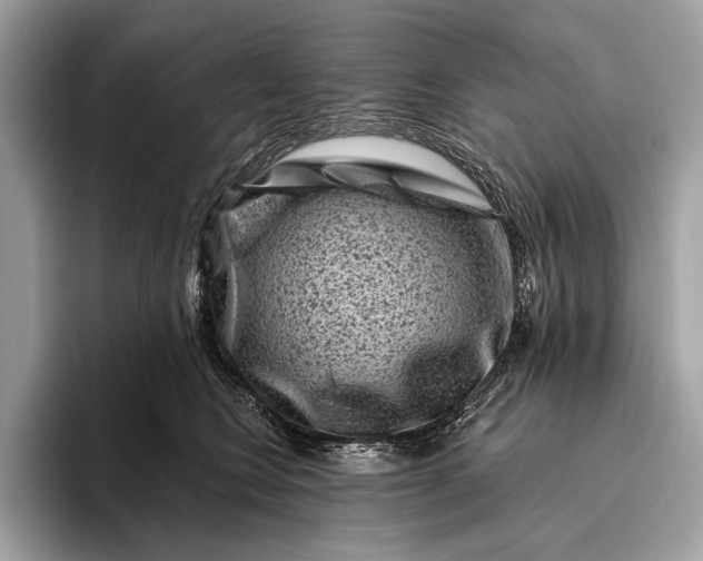 X0000095920566200801251032