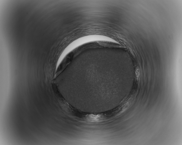 X0000095920570200801251032