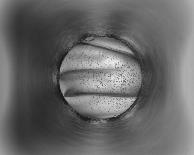 X0000095920576200801251032