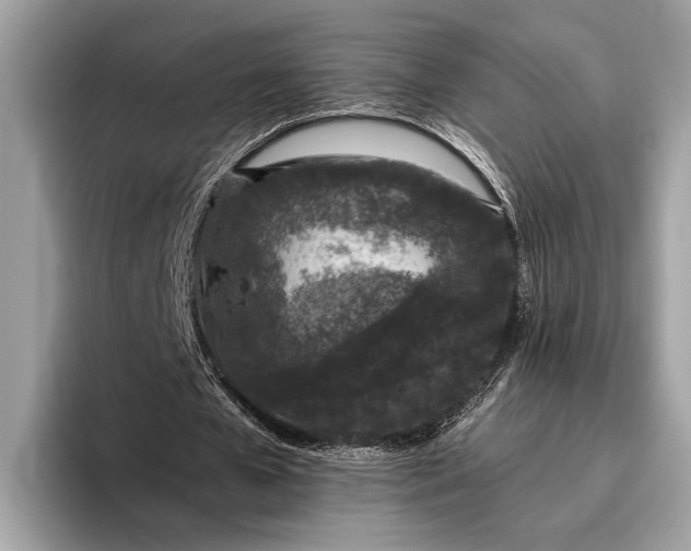 X0000095920577200801251032