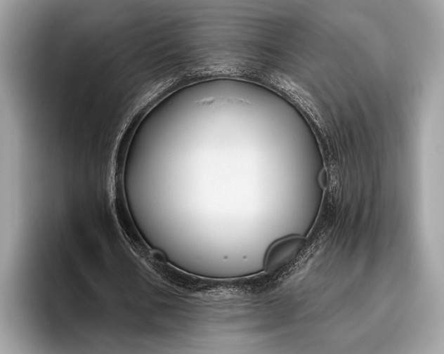 X0000095920578200801251031