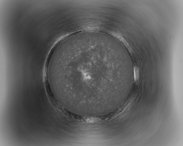 X0000095920579200801251031