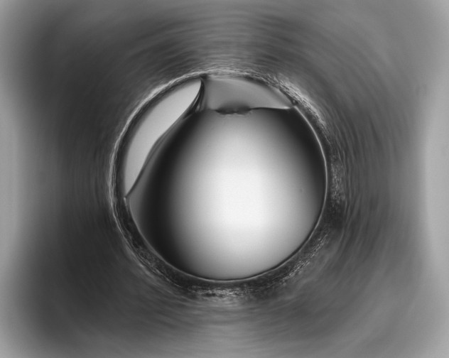 X0000095920580200801251031