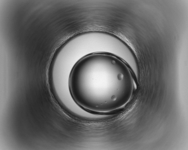 X0000095920581200801251031