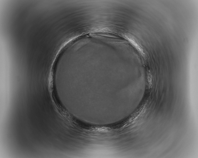 X0000095920583200801251031