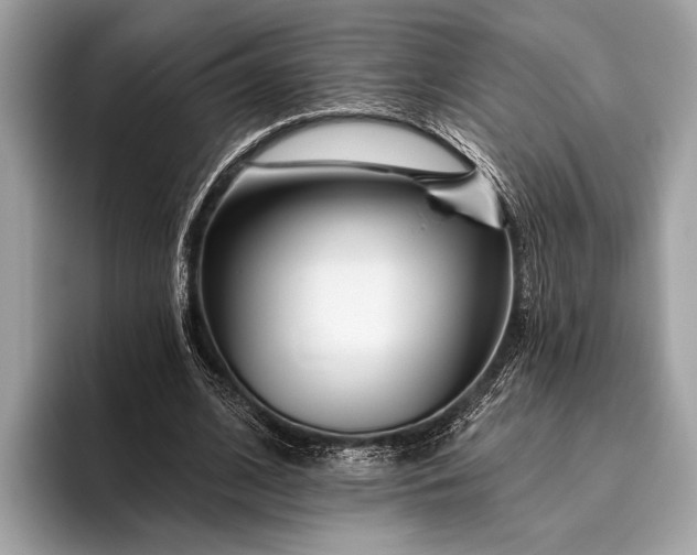 X0000095920584200801251031