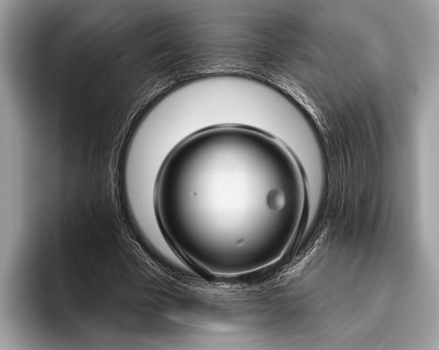 X0000095920585200801251031