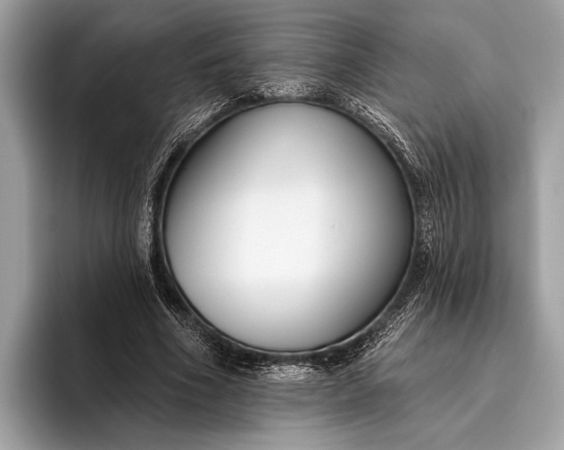 X0000095920586200801251031