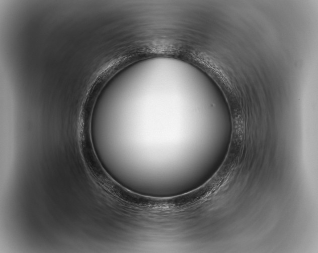 X0000095920587200801251031