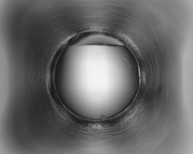 X0000095920588200801251031