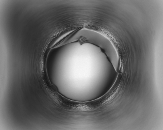 X0000095920589200801251031