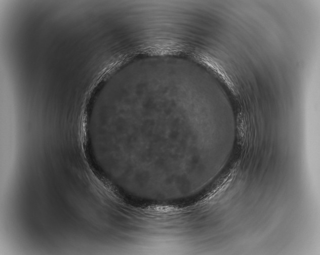 X0000095920590200801251031