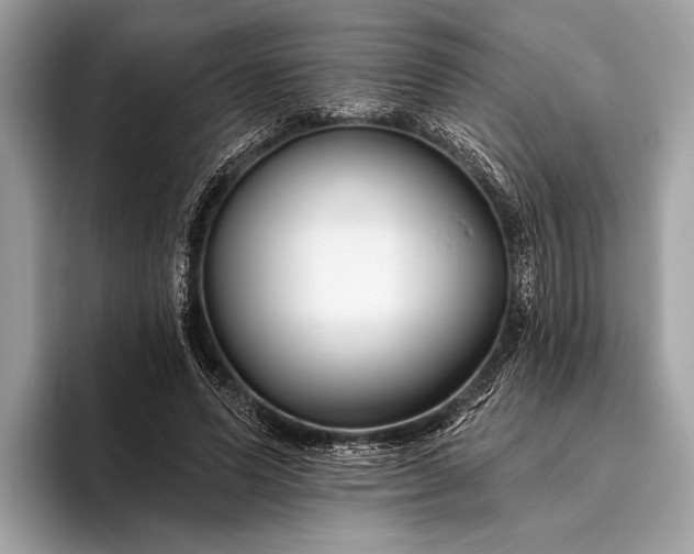 X0000095920591200801251031