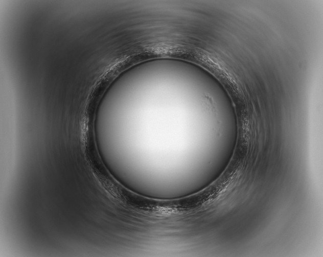 X0000095920592200801251031