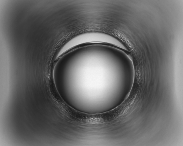 X0000095920593200801251031