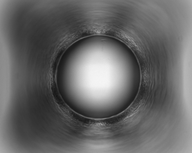 X0000095920594200801251031