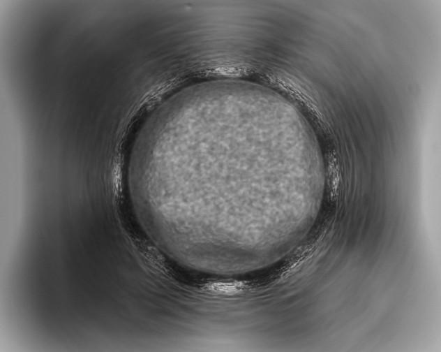 X0000095920595200801251031