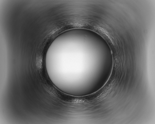 X0000095920596200801251031