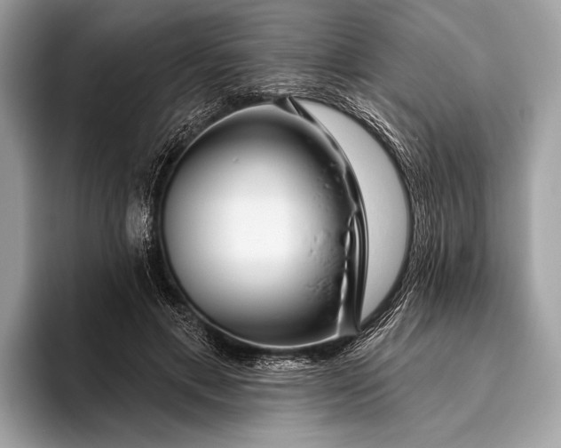 X0000095920597200801251031