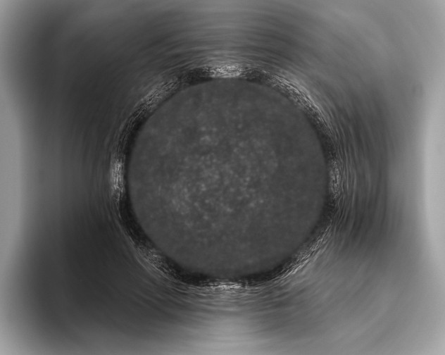 X0000095920598200801251031