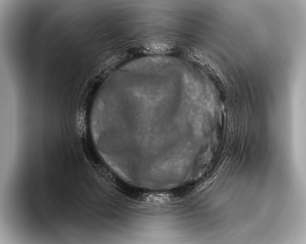 X0000095920599200801251031