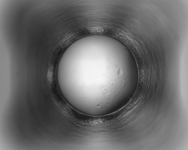 X0000095920600200801251031