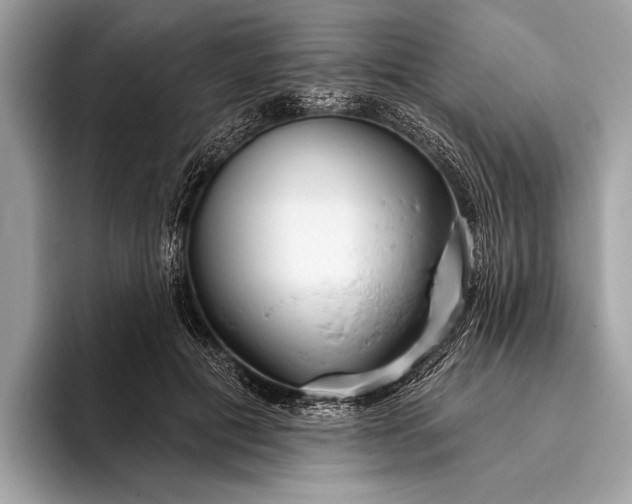 X0000095920601200801251031