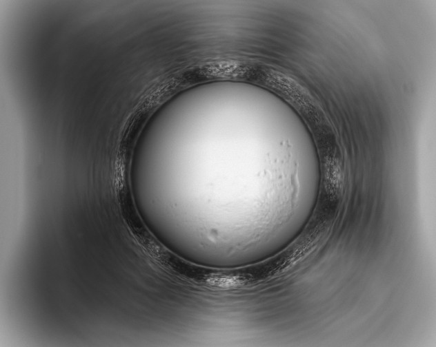 X0000095920602200801251031