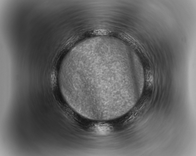 X0000095920603200801251031