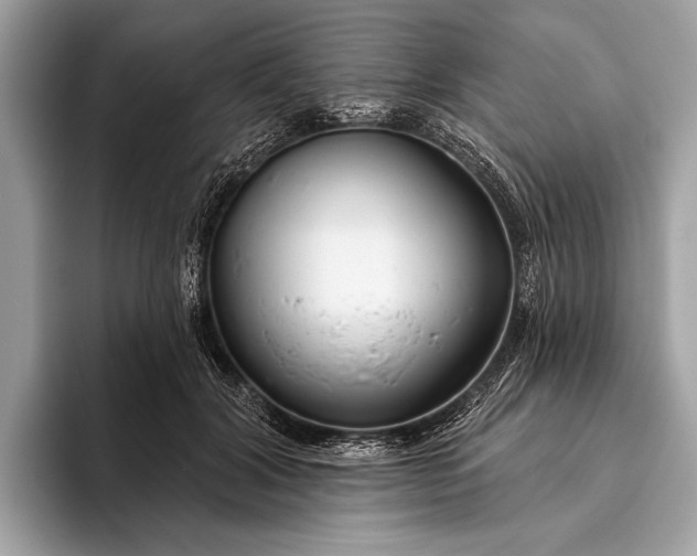 X0000095920604200801251031