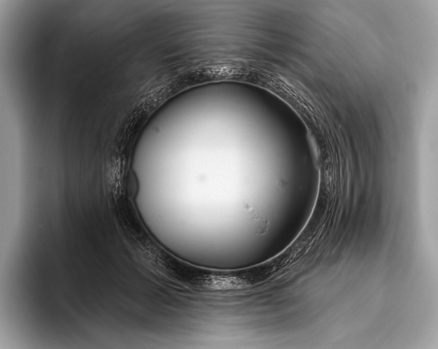 X0000095920605200801251031