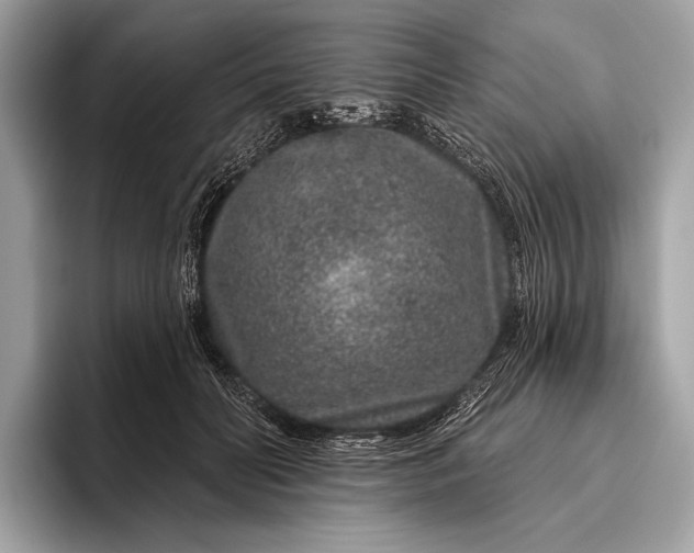 X0000095920606200801251031