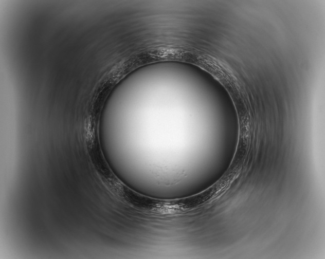 X0000095920607200801251031