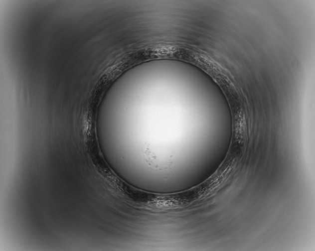 X0000095920608200801251031