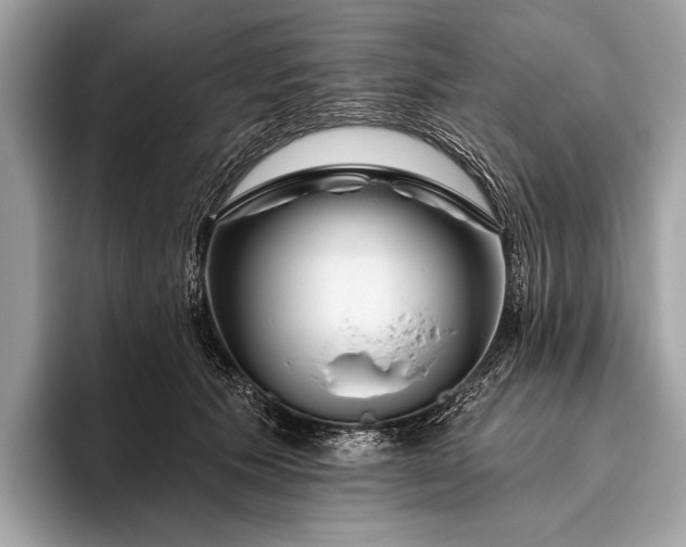 X0000095920609200801251031