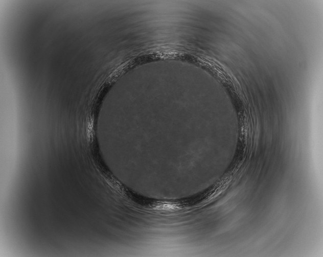 X0000095920610200801251031