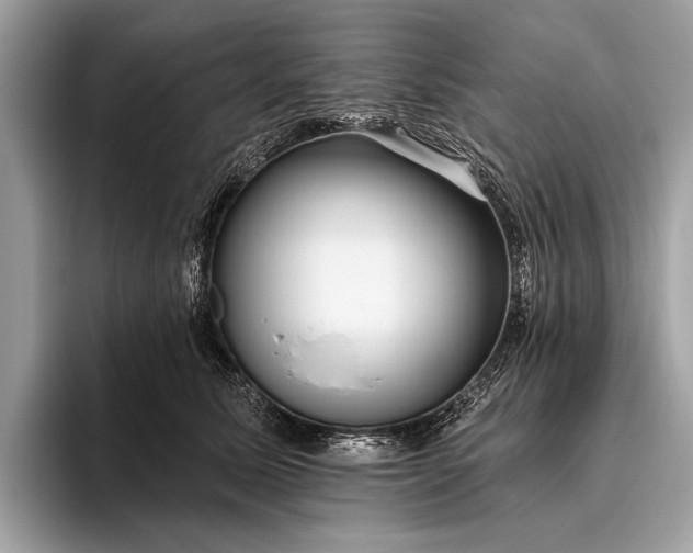 X0000095920611200801251031