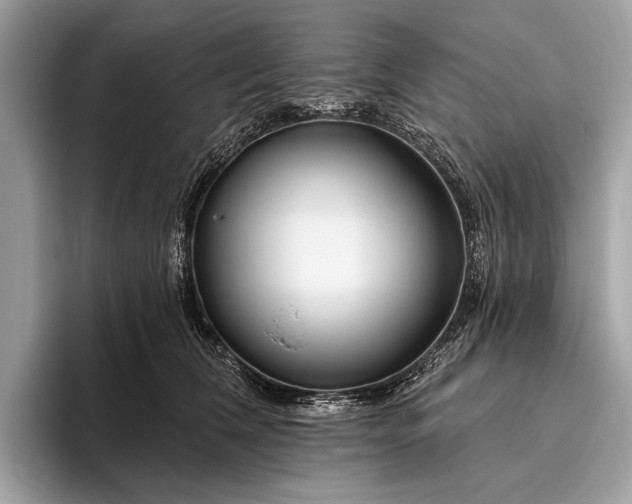 X0000095920612200801251031